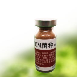 微生物EM菌种原种 惠民批发价格与饲料添加剂型号规格全解析
