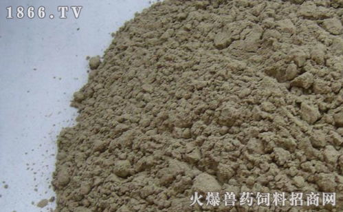 海带粉在饲料中的运用 天然饲料添加剂的潜力和前景