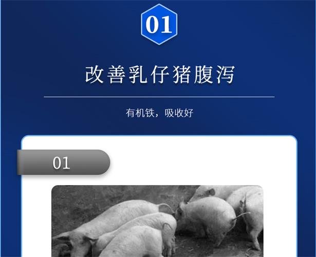 吉隆达动保乳靓宝 猪饲料添加剂的革新之选